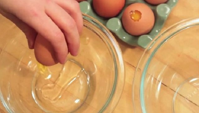 куриные яйца фото