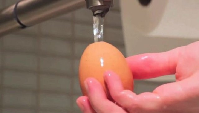 яичная скорлупа фото