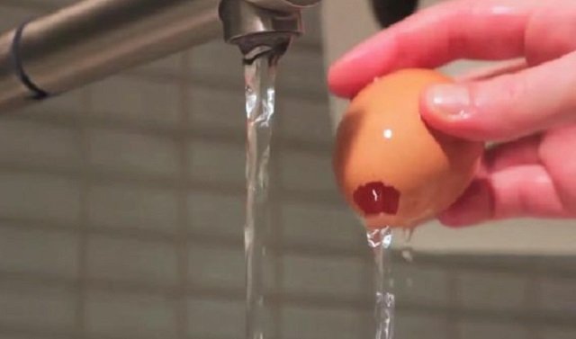 яичная скорлупа фото