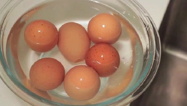 яичная скорлупа фото