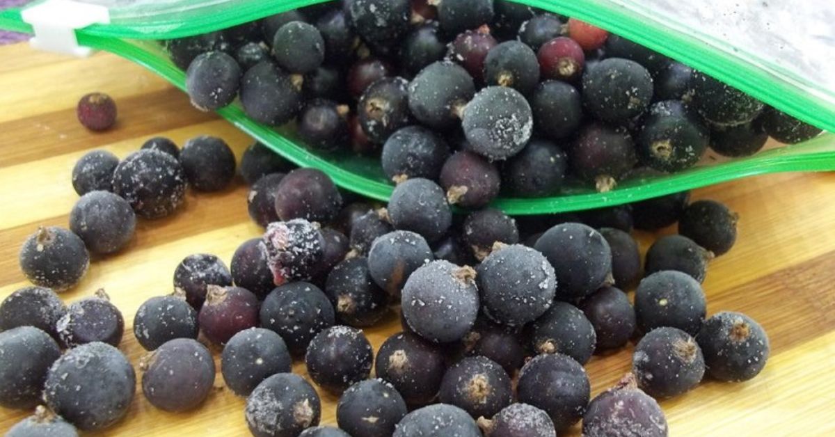 замороженная ягода