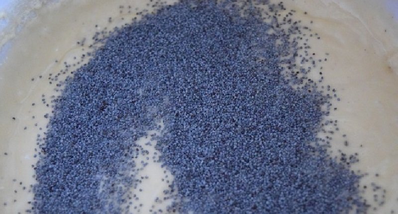 маковое тесто