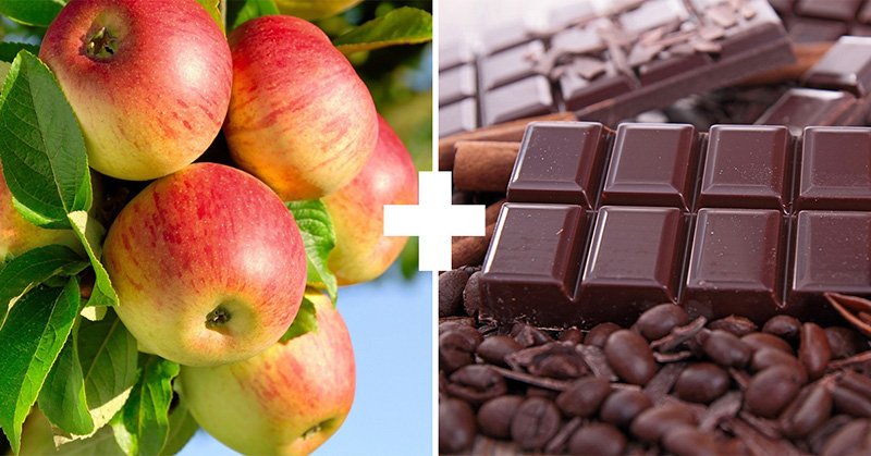 яблоки и шоколад