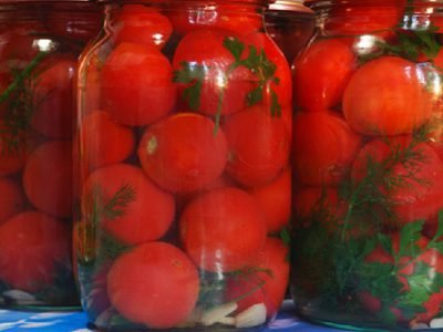 Помидоры на зиму без уксуса
