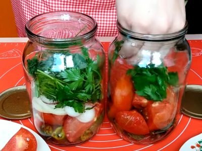 Помидоры на зиму с луком и чесноком