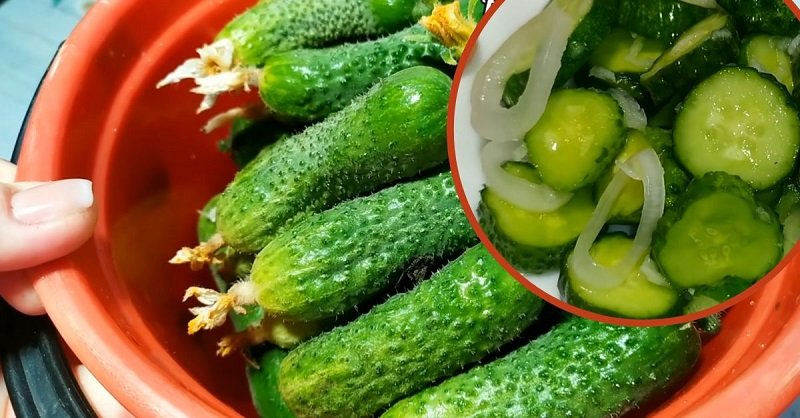 подготовка огурцов