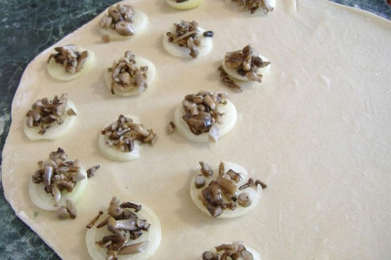 грибы на луке