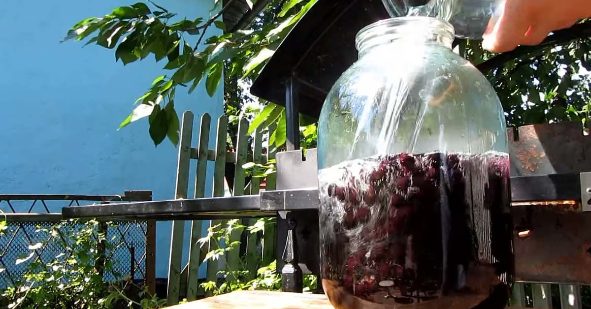 ягоды с водкой