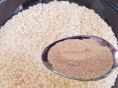 Рисовый хлеб в духовке