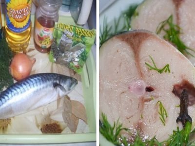 Сагудай из скумбрии