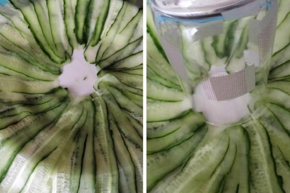 формирование салата