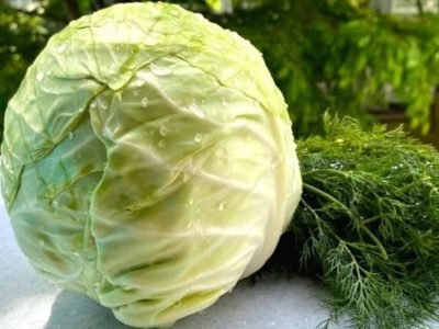 Салат из свежей капусты и моркови