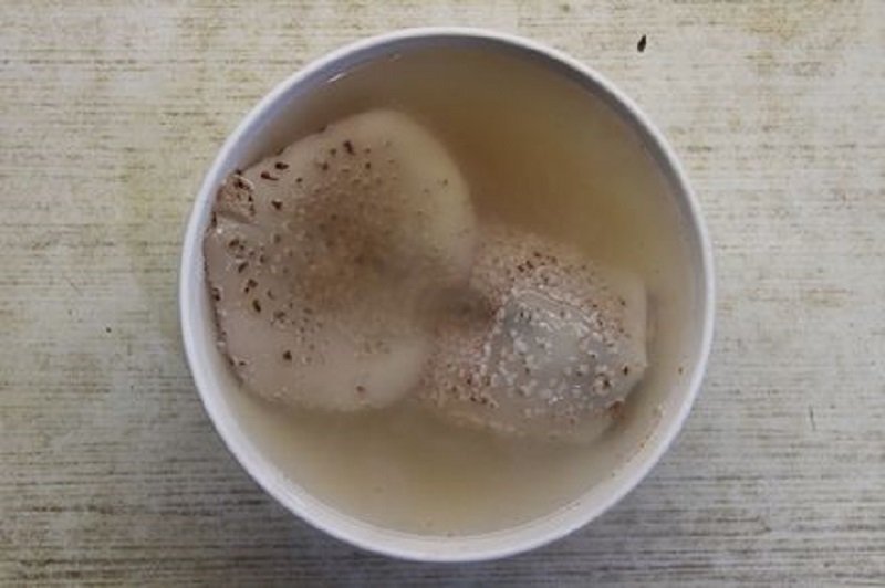 кальмар в тарелке