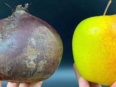 Салат со свеклой и яблоком