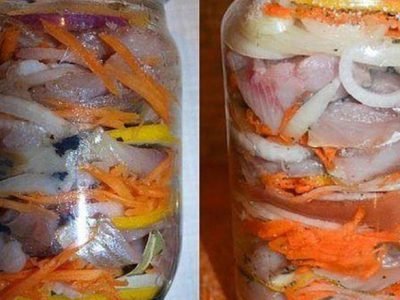 Селедка по-голландски