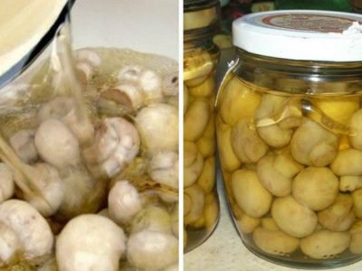 Шампиньоны на зиму