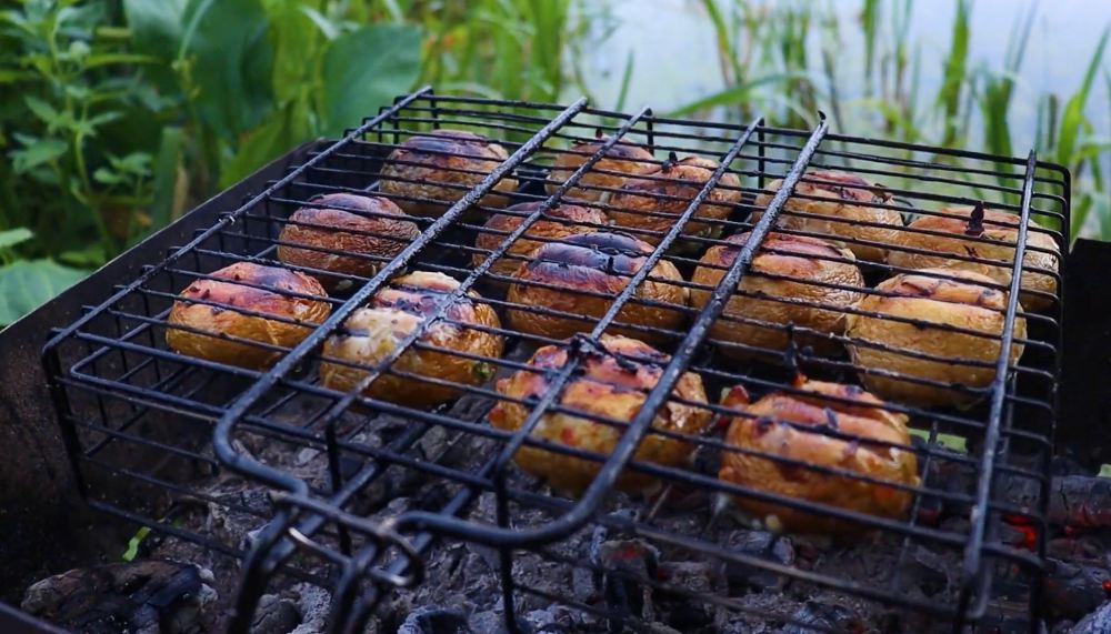 шампиньоны