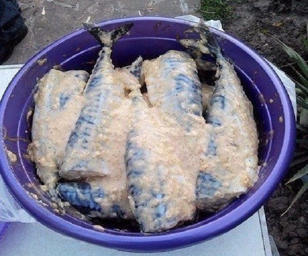 скумбрия на мангале