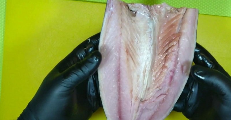разделка скумбрии