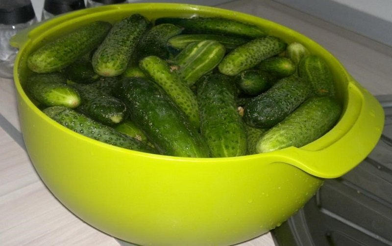 консервация на зиму