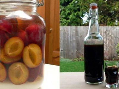 Сливовая наливка на водке