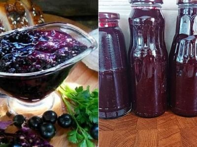 Смородиновый соус к мясу: рецепт на зиму