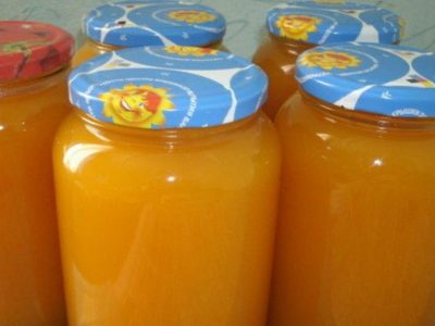 Домашний сок из двух апельсинов