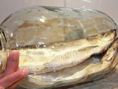 Соленая селедка