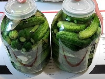 Соленые огурцы без уксуса и сахара