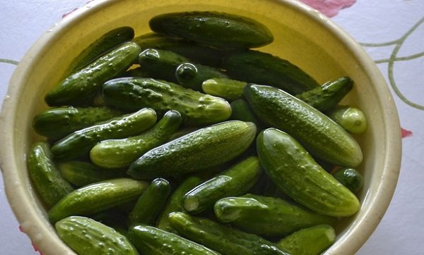 Соленые огурцы из бочки - рецепт с фото на Повар.ру изображения Соленые огурцы из бочки - рецепт с фото на Повар.ру изоражения