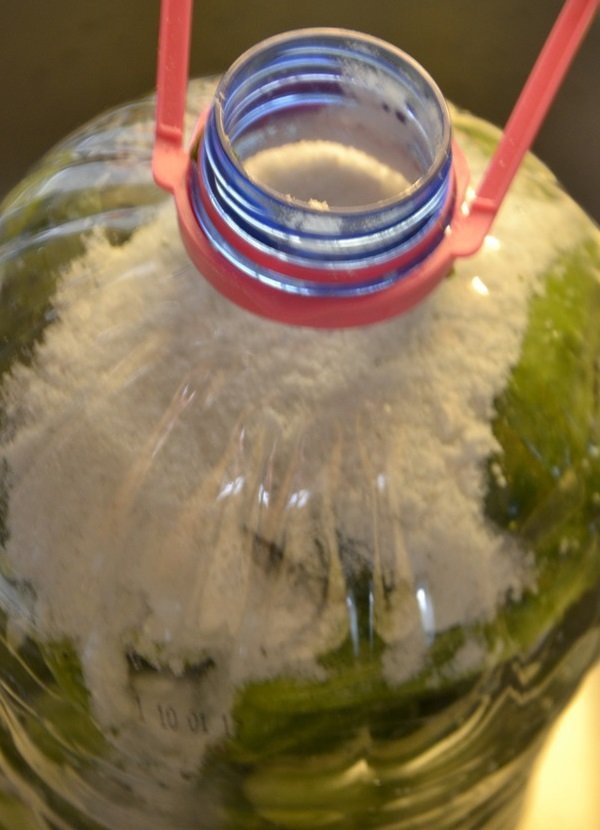 соленые огурцы рецепт