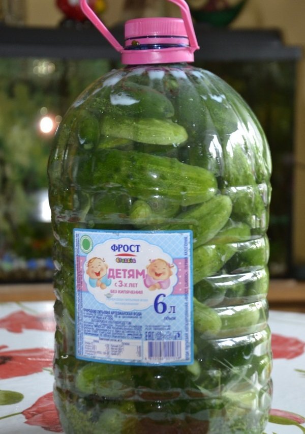 соленые огурцы рецепт