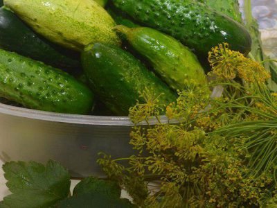 Соленые огурцы из бочки - рецепт с фото на Повар.ру Соленые огурцы из бочки - рецепт с фото на Повар.ру