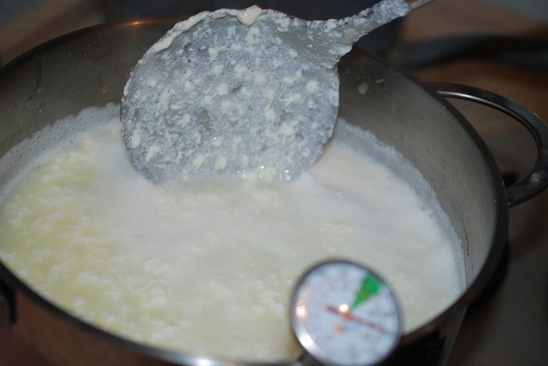 сырные сгустки