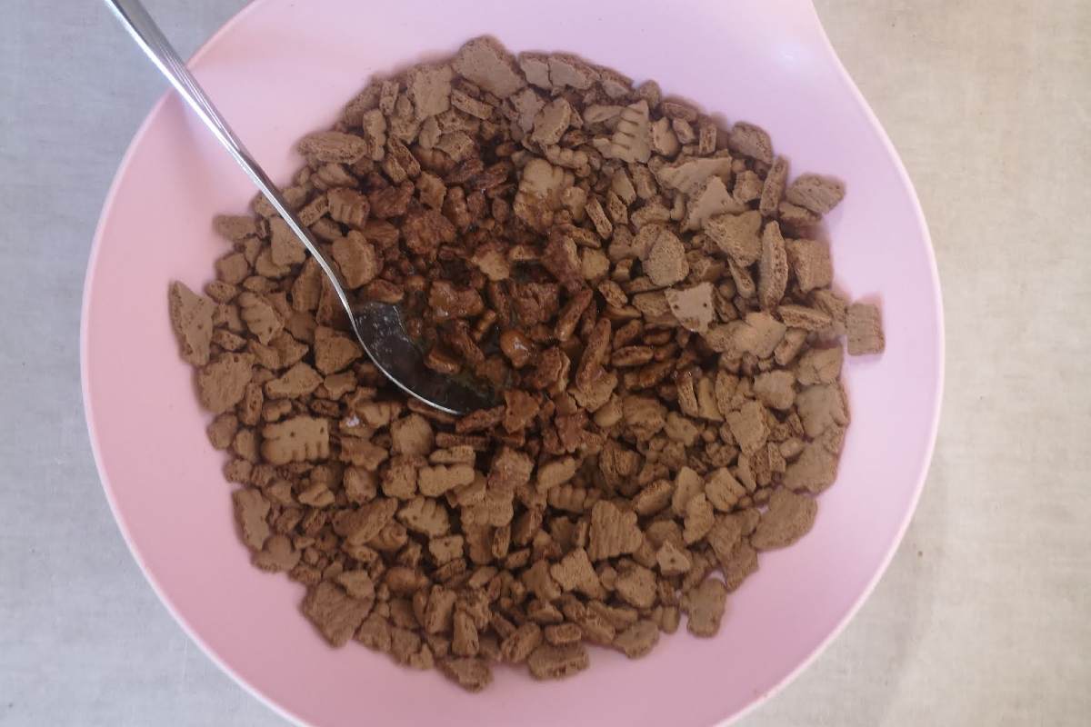 основа из печенья