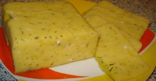Рецепты Сыра В Мультиварке Фото