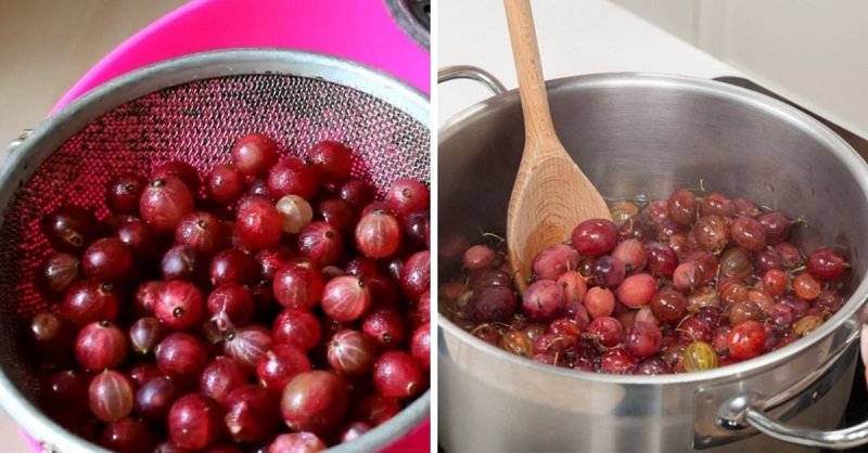 крыжовник в воде