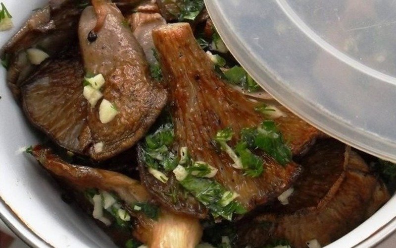 жаренные вешенки