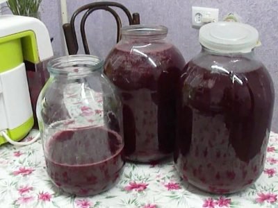 Вино из смородины