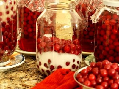 Домашняя вишневка на водке своими руками