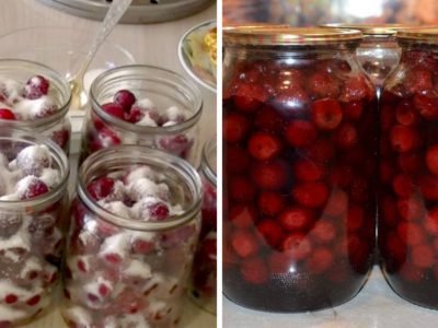 Вишня в собственном соку