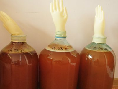 Яблочное вино