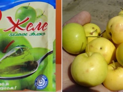 Яблочное желе