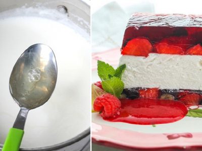 Ягодный террин