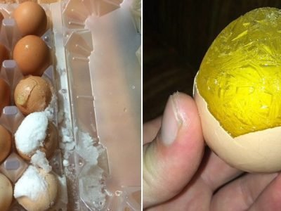 Замороженные яйца