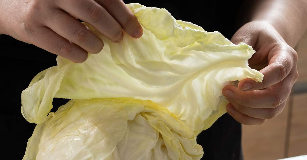 листья капусты