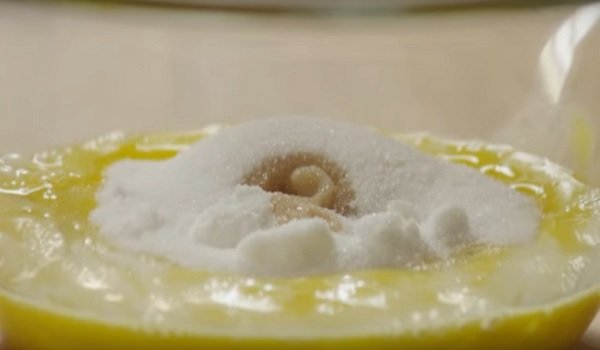 заварной пирог