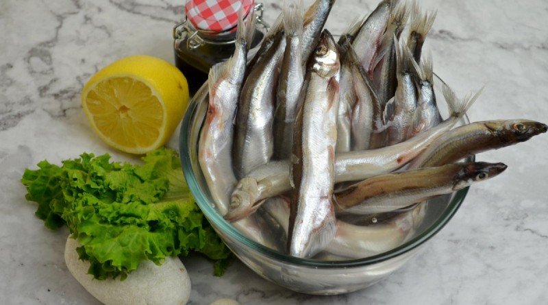 замороженная мойва