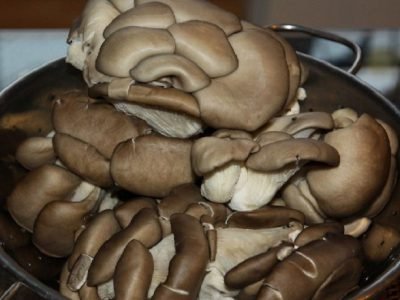 Жареные вешенки